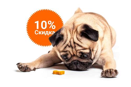 -10% на зоотовары акция в Полевском компании Инженер выгодно