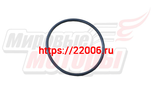 Прокладка водяного насоса X60 (LFB479Q-1307012A) Прокладка водяного насоса X60 (LFB479Q-1307012A)