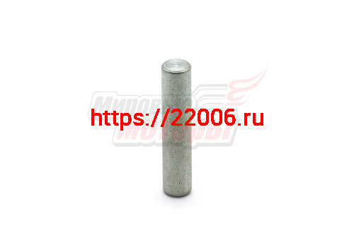 Ось грузика вариатора "Арктик" Ось грузика вариатора "Арктик"