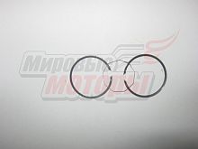 Кольца 39.25 мм HONDA DIO50 (AF-18) +0,25 SEE