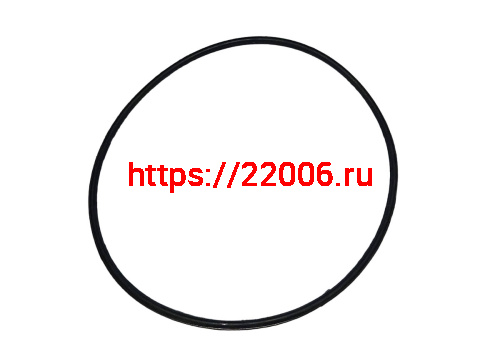 Кольцо Буран уплотнительное коллектора большое 100х3 (110500996)