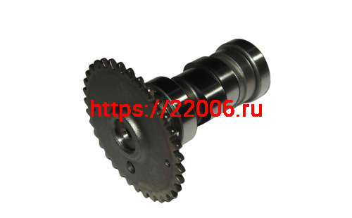 Распредвал в сборе со звездой (052QMIB-0403000A0) фото 2