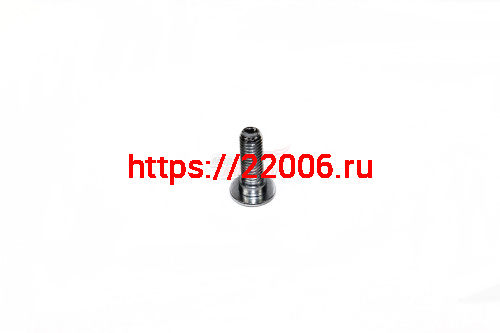 Винт крепления заднего тормозного диска Storm Indigo