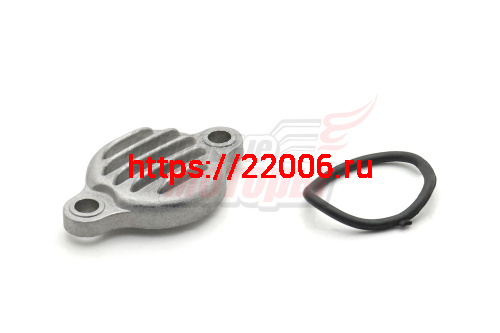 Крышка регулировочного отверстия клапанов 156FMJ 140см3