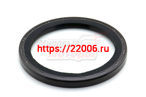 Сальник коленвала задний 1039,1049С (E049302000014)