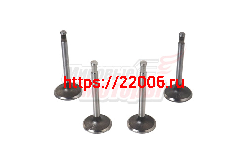 Клапаны Урал (1комп.=2пары) фирм.(выпуск.клап. - не магнитятся)